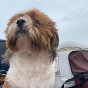 Meet your Posher, Jim